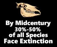 Extinction Endangered Species
