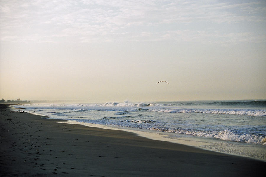 Sea Scape