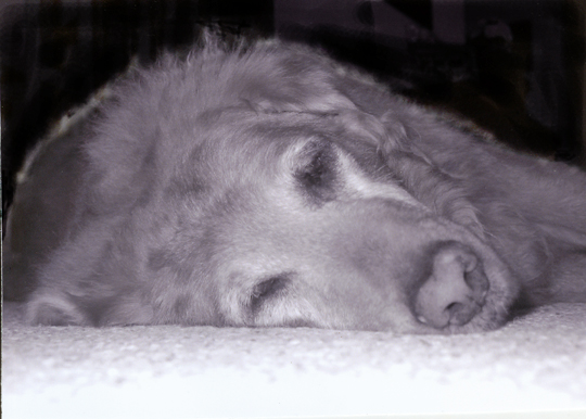Wake Me When It is Over
