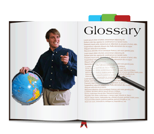 Glossary