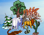 Bioscience Diversity
