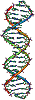 Geneticist