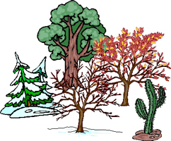 Environmental Issues
