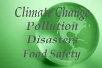 Global Environment Issues Problesm