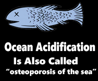 Ocean Acidification