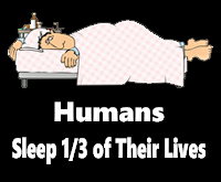 Sleep