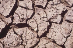 Drought