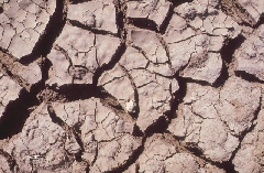 Droughts