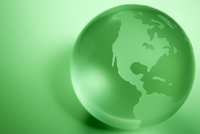 Environmental Issues