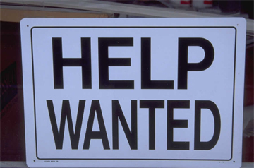 Blog Employment