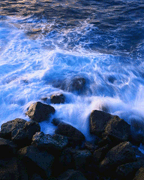 Water/Air Quality